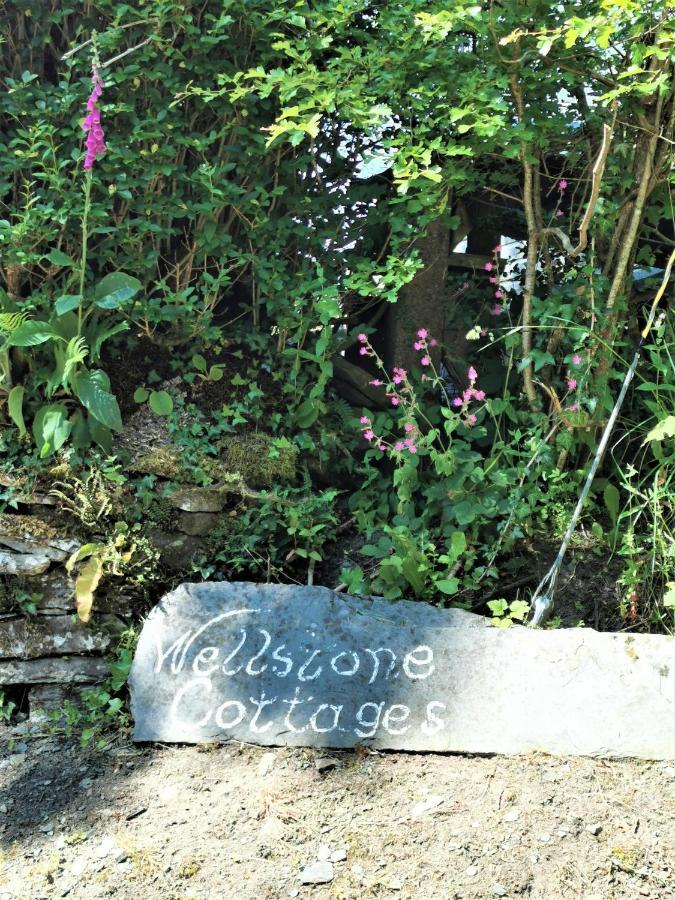 Wellstone Cottages - Jasmine Llanfyrnach Εξωτερικό φωτογραφία