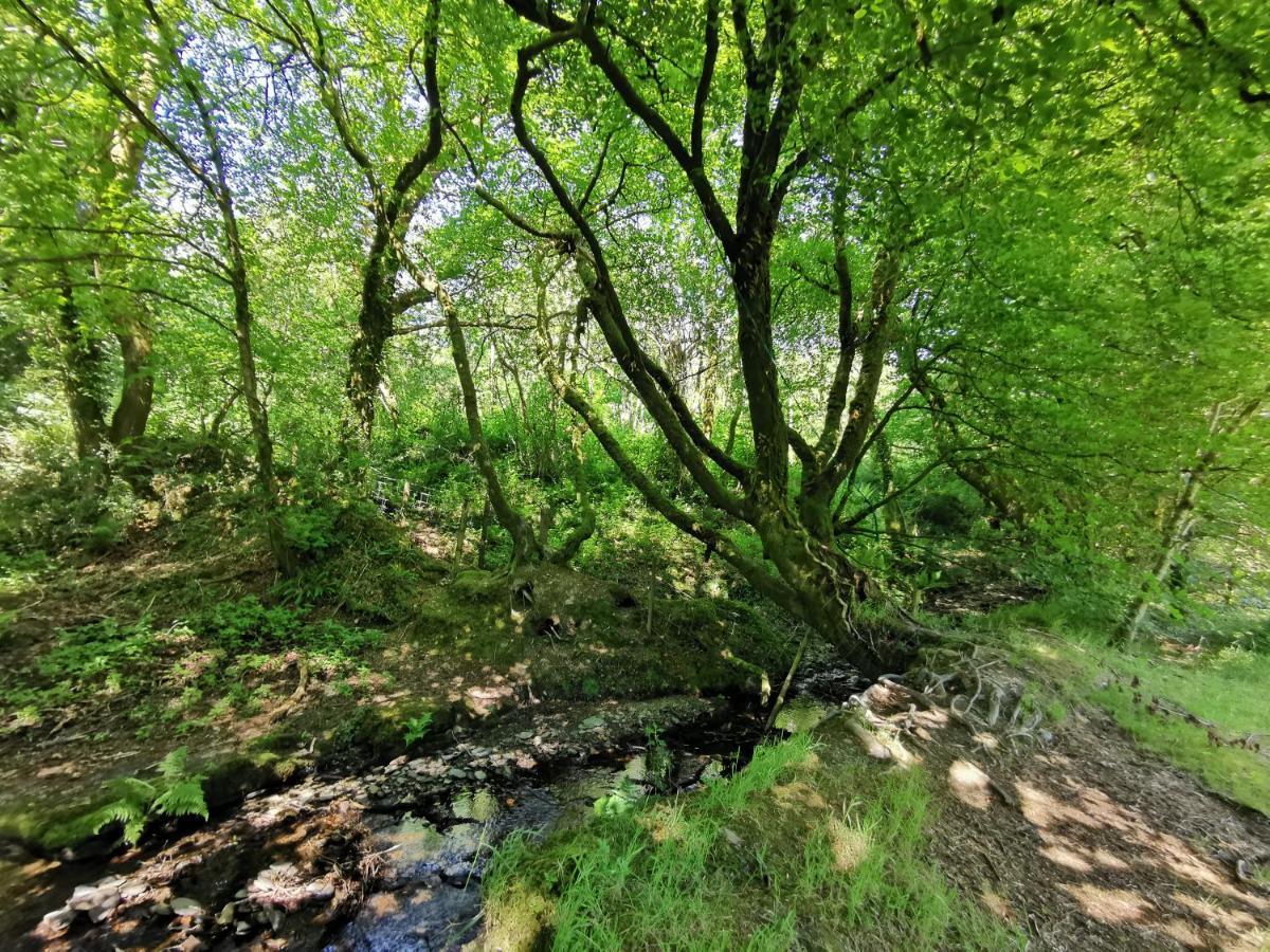Wellstone Cottages - Jasmine Llanfyrnach Εξωτερικό φωτογραφία